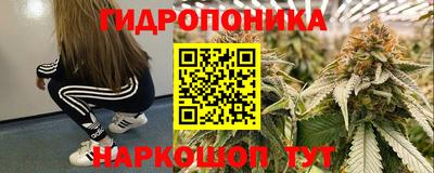 спайс Кунгур