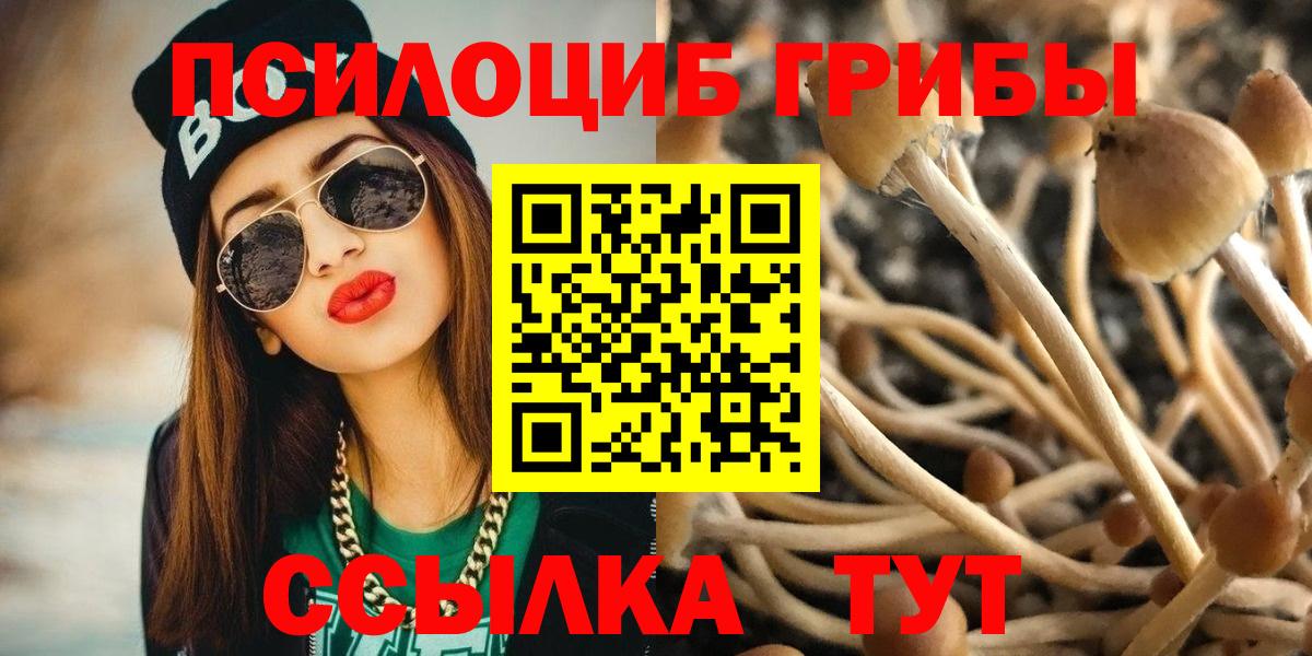 Галлюциногенные грибы Magic Shrooms Великий Новгород