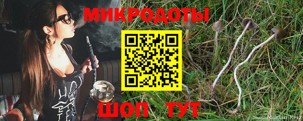 Псилоцибиновые грибы Psilocybe  Вход с VPN  Великий Новгород 