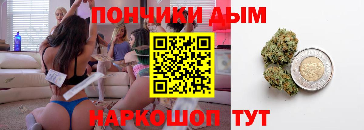 Шишки марихуана марихуана Великий Новгород